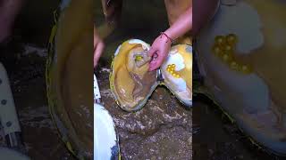 🎁🎁Giant clams covered in gold with super large and beautiful pearls [upl. by Lotsyrk229]