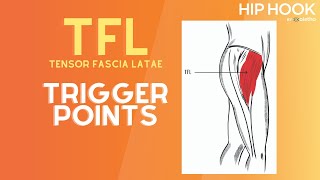 TFL Trigger Point Release  How to Release the Tensor Fascia Latae Muscle [upl. by Whiting]