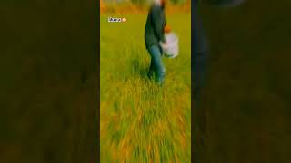 Red gold 🧅 Desi zamindar kisan viralvideo short reels viral gold gurjarkisan comedy [upl. by Immanuel]