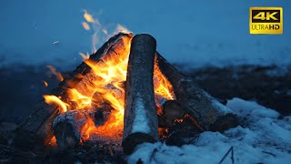 🔥 A Crackling Campfire During a Windy Winter Night 10 HOURS 50FPS 🔥 Cozy Fireplace 4K for Sleeping [upl. by Jarin]