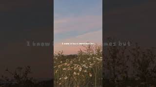 Fleetwood Mac  LandslidelyricsLandslidelandslidelyricslyricsvideos888shortvideo [upl. by Collayer]