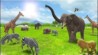 Funny Cartoon Animals For kids  Real Animals 3D  Kids BabyBus Game Video [upl. by Loy]