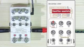 Warped Vinyl mk2  Suggested Settings [upl. by Javed]