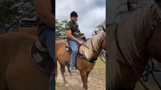 gera guerra e seu cavalo shogun vaqueiro gera guerra [upl. by Eentirb]