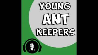 Young Ant Keepers V2  Featuring Ants Insight Anty Enclosures and ElijahsAnts  The Ant Podcast 32 [upl. by Tullius]