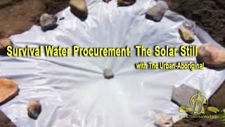 Survival Water Procurement The Solar Still w The UrbanAbo [upl. by Acemahs137]