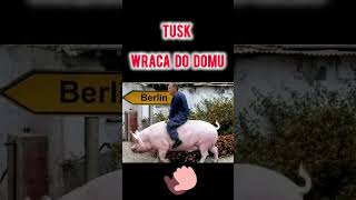 Żegnaj Donald🖐shorts tusk pig berlin politics [upl. by Gorden100]