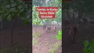 🔴Fuertes lluvias El Salvador [upl. by Nwahsiek]