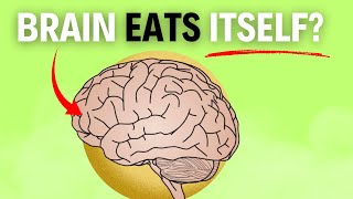 How Fasting Prevents Alzheimer’s Disease 🦠 [upl. by Terryl879]