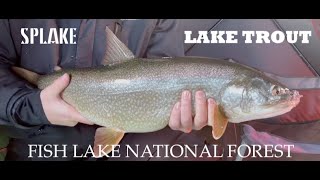 Ice Fishing Fish Lake Utah  8lb Lake Trout amp Splake [upl. by Raimondo]