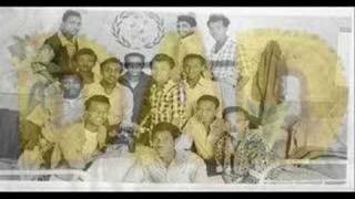 Eritrea Tribute to Dr Taha Mohammed Nur Part 1 [upl. by Nylacaj]