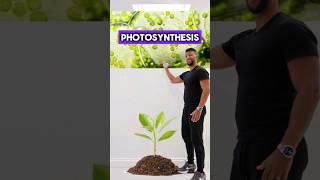 GCSE Biology  Photosynthesis Rap [upl. by Oneal]