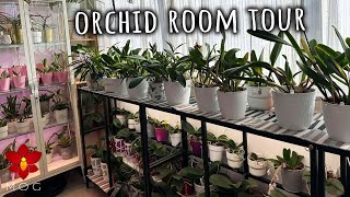 Orchid Room Tour  Autumn 2023  Lots of New Setups to try [upl. by Immas532]