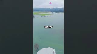 China Poyang Lake Swells News china dronefootage [upl. by Oinotnanauj]