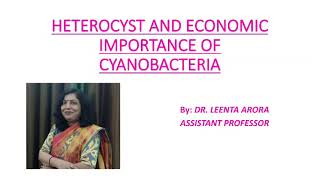 HETEROCYST AND ECONOMIC IMPORTANCE OF CYANOBACTERIA by Dr Leenta Arora [upl. by Neeluj801]