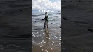 NET FISHING Pulling Nets shorts [upl. by Gargan]