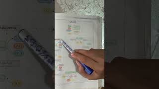 Kreb cycleTCA or Citric Acid cycle with pneumonic viralvideo clinicians biology education [upl. by Zorine338]