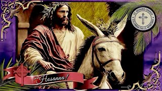 🌴 Palm Sunday  Passion of The Lord ⁜ Sunday Mass 10 AM ⁜ 03242024 [upl. by Gebler]