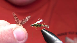 Glasshead Caddis Emerger  Yellowstone Country Fly Fishing [upl. by Alyam335]