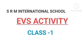 EVS ACTIVITY CLASS 1 [upl. by Wirth]