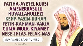 Fatiha Ayetel Kursi Amenerrasulu Kehf Yasin Fetih Vakia Duhan Rahman Cuma Mulk Nebe Raad al Kurdi [upl. by Freida]