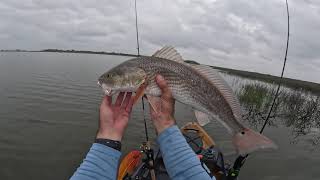 Aransas Pass Fishing FISH ARE PRIMED UP [upl. by Atiuqan]