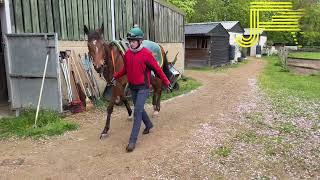 Newmarket Gallops 270424  Julia Feilden Racing [upl. by Sinnard]