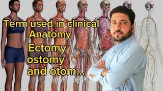 Anatomy  term used in clinical Anatomy in a simple pashto  what Naseer khan  IRD [upl. by Ayotal]