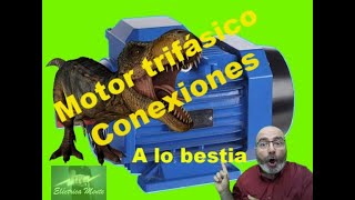 CONEXIONES MOTOR TRIFASICO A LO BESTIA [upl. by Anirehc]