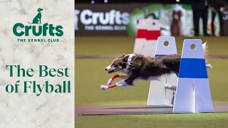 The Best of Flyball at Crufts [upl. by Nerita]