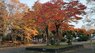 Autumn 🍁 in Obihiro Hokkaido Japan [upl. by Ahtael]