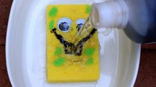 Sulfuric Acid vs Sponge  Chemical Reaction [upl. by Ohnuj]