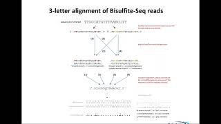 20171013 Bisulfite Sequencing Theory and Quality Control Dr Felix Krueger [upl. by Colley]