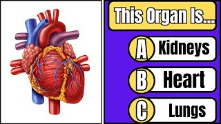 Guess The Human Body Parts General Knowledge Questions [upl. by Ossy]