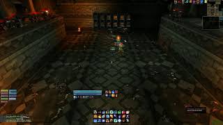 Mage Pre Bis  High Warlord gameplay  discord youtube [upl. by Ilahsiav477]