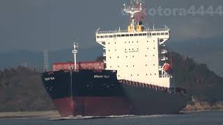 1900TEU Container Ship ｢BRIGHT FUJI｣ [upl. by Anelim]