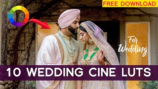 FREE 10 Cinematic Luts  For Wedding  How to apply Luts in Adobe Premiere Pro amp Davinci resolve [upl. by Blondelle47]