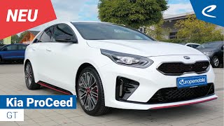 Kia ProCeed GT TGDI 204 DCT7 Navi LED JBL Modell 2020 [upl. by Deer386]