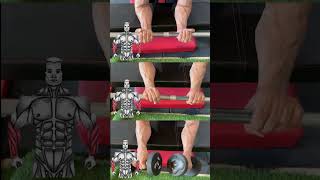 quotTop Forearm Workouts for Stronger Arms 💪  Quick amp Effective Exercisesquot [upl. by Ecilayram338]