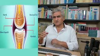 BAMYA Eklemlerde Sıvı Kaybı Kıkırdak Zedelenmesi Menüsküs Yırtılması ve Kireçlenmeye Doğal Çözüm [upl. by Noiramaj]