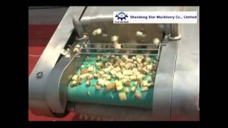 Potato dicer potato cubes cutting machine [upl. by Markiv39]