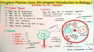 Kingdom Plantae Part4 class 9th chapter Introduction to Biology [upl. by Yellah]