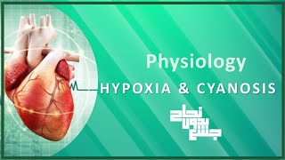 Revision of L8 Hypoxia and cyanosis physio [upl. by Kathy]