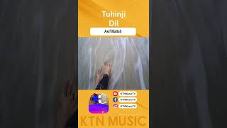 TUHINJI DIL  ASIF MALLAH  KTN OLD SONG  KTN MUSIC [upl. by Stoat]