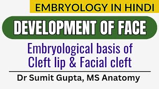 Development of Face  Cleft Lip  Embryology in Hindi [upl. by Annaul588]