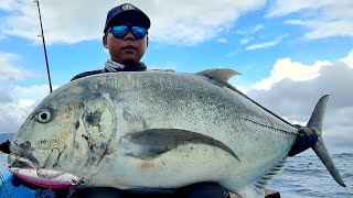 POPPING AND CASTING TREVALLY [upl. by Aerona]