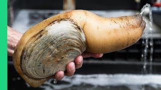 Exotic CHINESE FOOD Feast in Guangzhou 250 Snake Geoduck Sashimi and Sea Cucumber [upl. by Fantasia396]