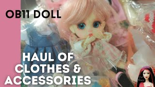 HAUL OF CLOTHES amp ACCESSORIES FOR OB11 Artist Doll Unboxing Obitsu 11 BJD from Aliexpress [upl. by Dix]