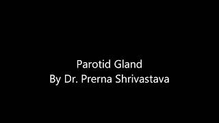 Parotid gland By Dr Prerna Shrivastava at drlectures parotid gland anatomy drlecture [upl. by Colline]