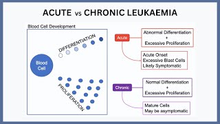 Acute vs Chronic Leukaemia Explained [upl. by Llerod]